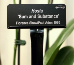 Premium Black Garden Stake